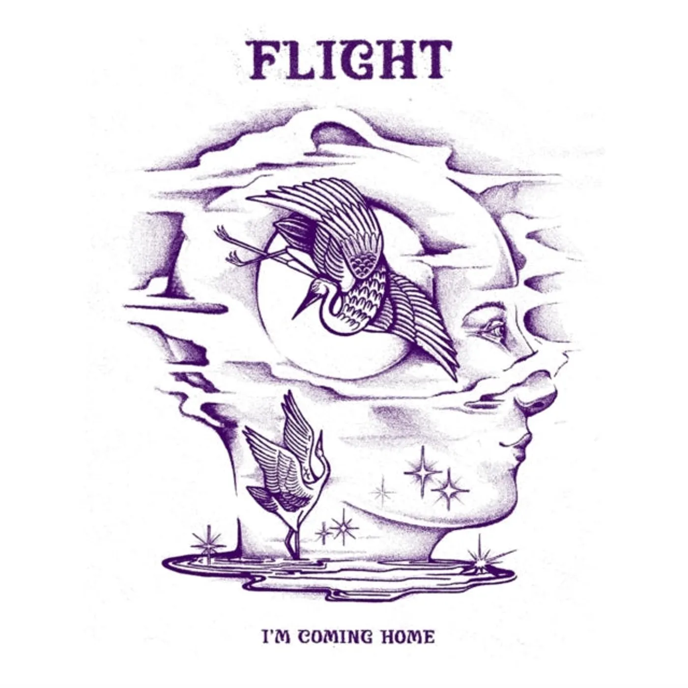 Flight LP Vinyl Record - Im Coming Home