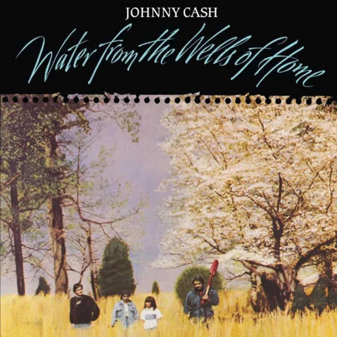 Johnny Cash LP Vinyl Record - Water From The Wells Of Home