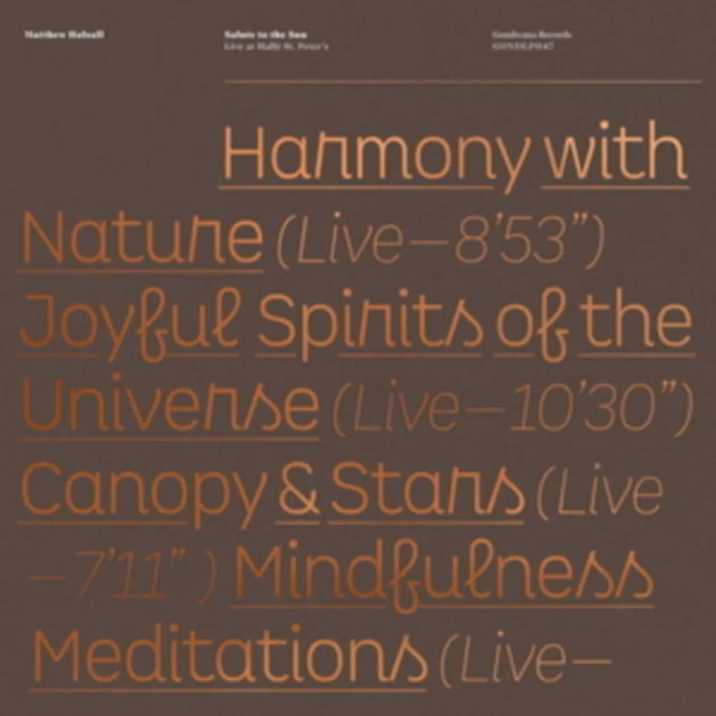 Matthew Halsall LP Vinyl Record - Salute To The Sun Live At Halle St. Peter'S