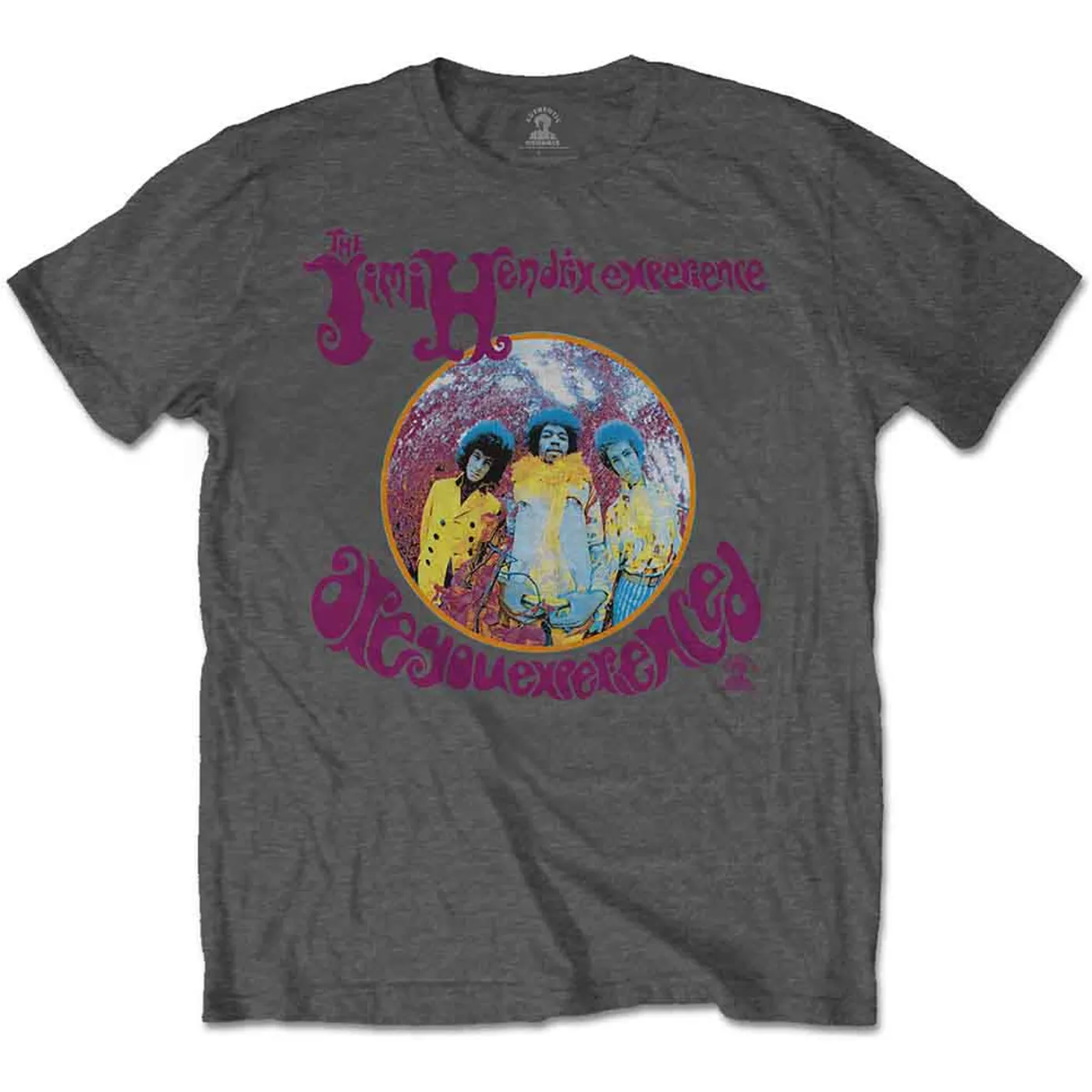 Jimi Hendrix T Shirt - Are You Experienced