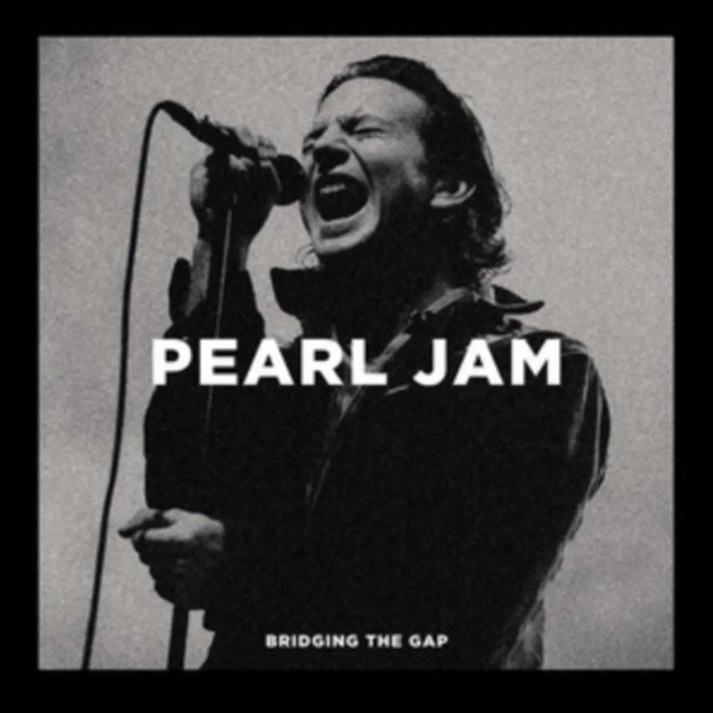 Pearl Jam LP - Bridging The Gap (Vinyl)