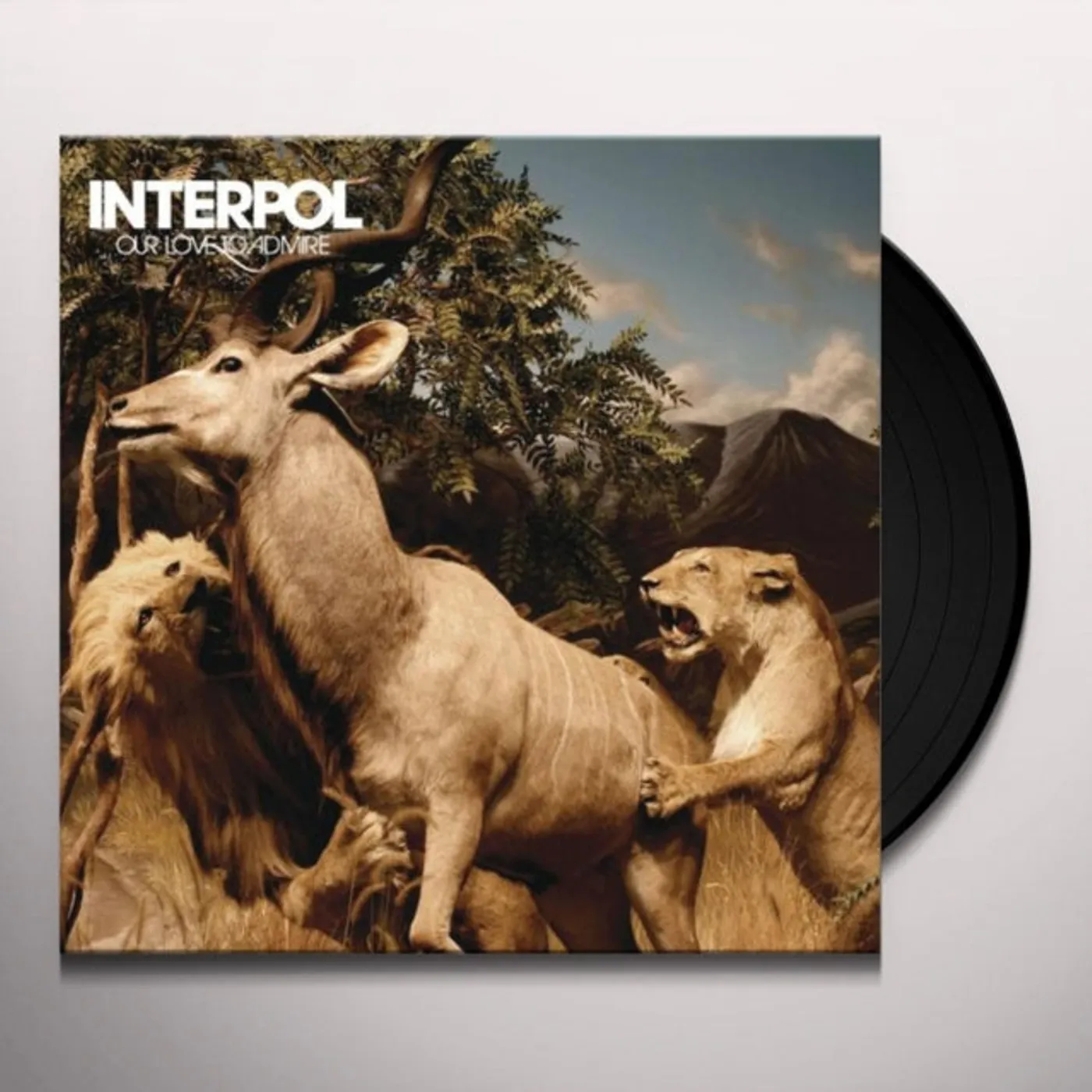 Interpol LP Vinyl Record - Our Love To Admire