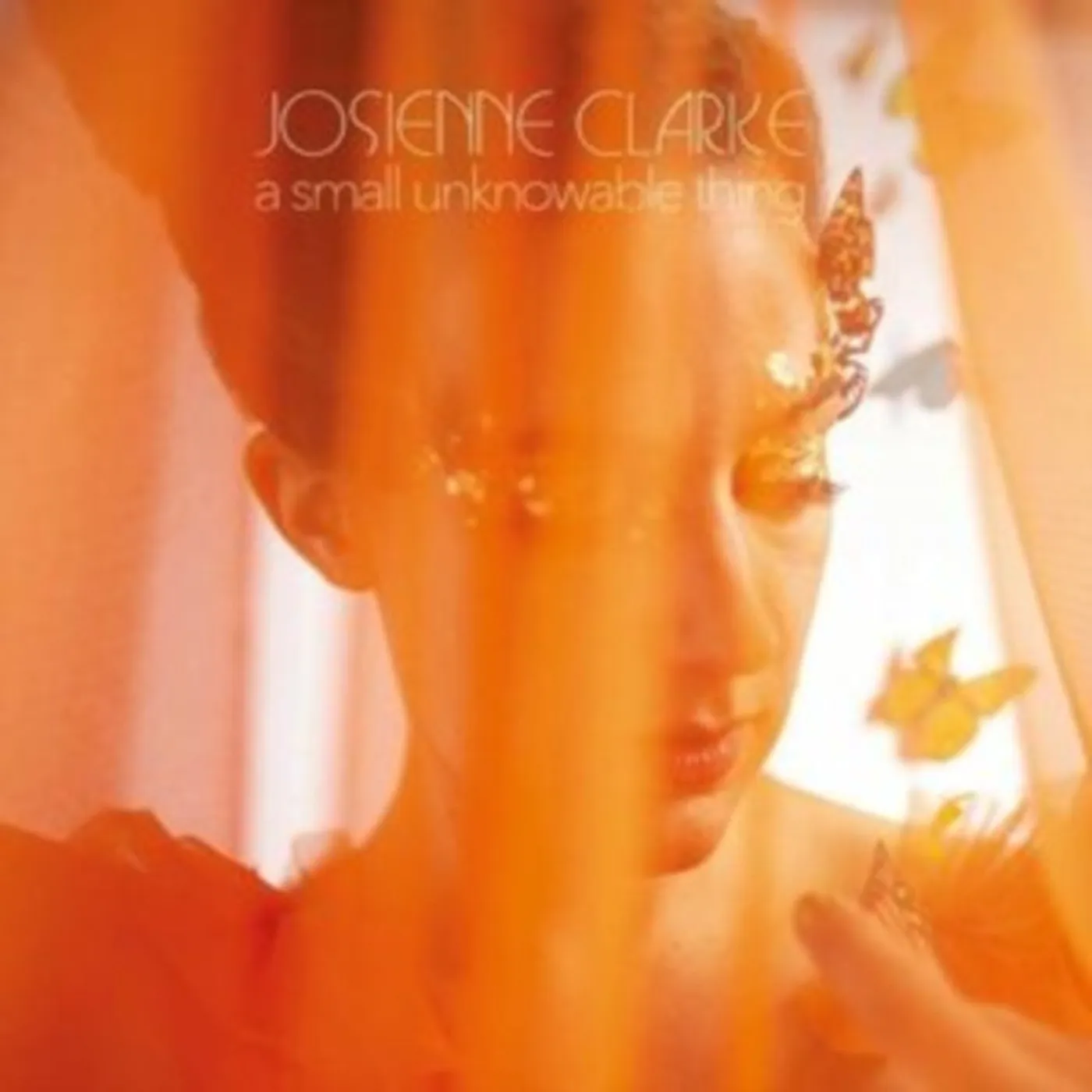 Josienne Clarke LP Vinyl Record - A Small Unknowable Thing