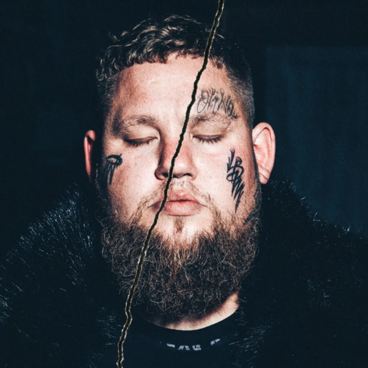 Rag'n'Bone Man LP Vinyl Record - Life By Misadventure