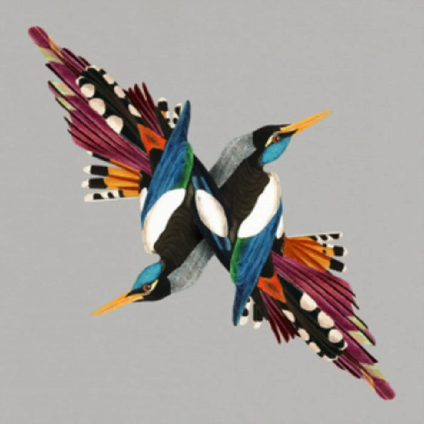 Shire T LP Vinyl Record - Tomorrows People