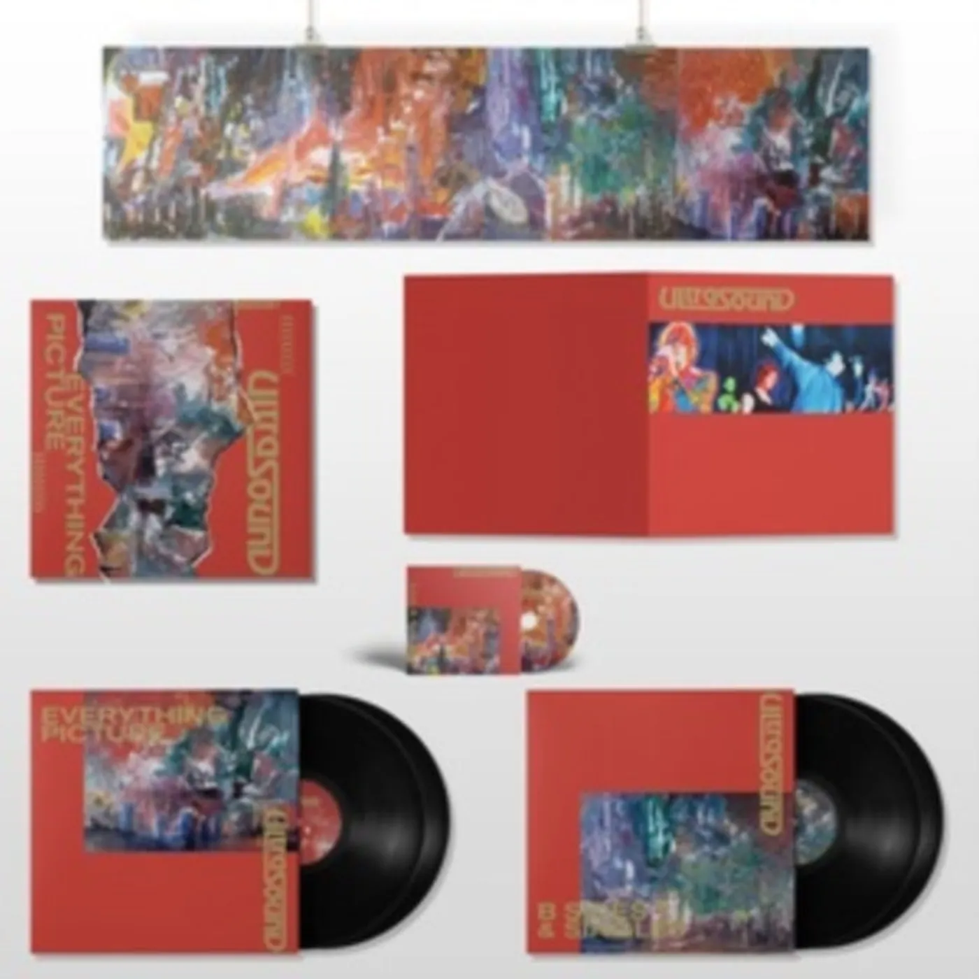 Ultrasound LP Vinyl Record - Everything Picture (Deluxe Edition)