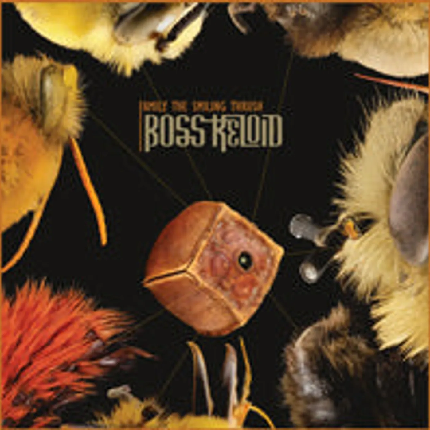  Boss Keloid LP - Family The Smiling Thrush (Vinyl)