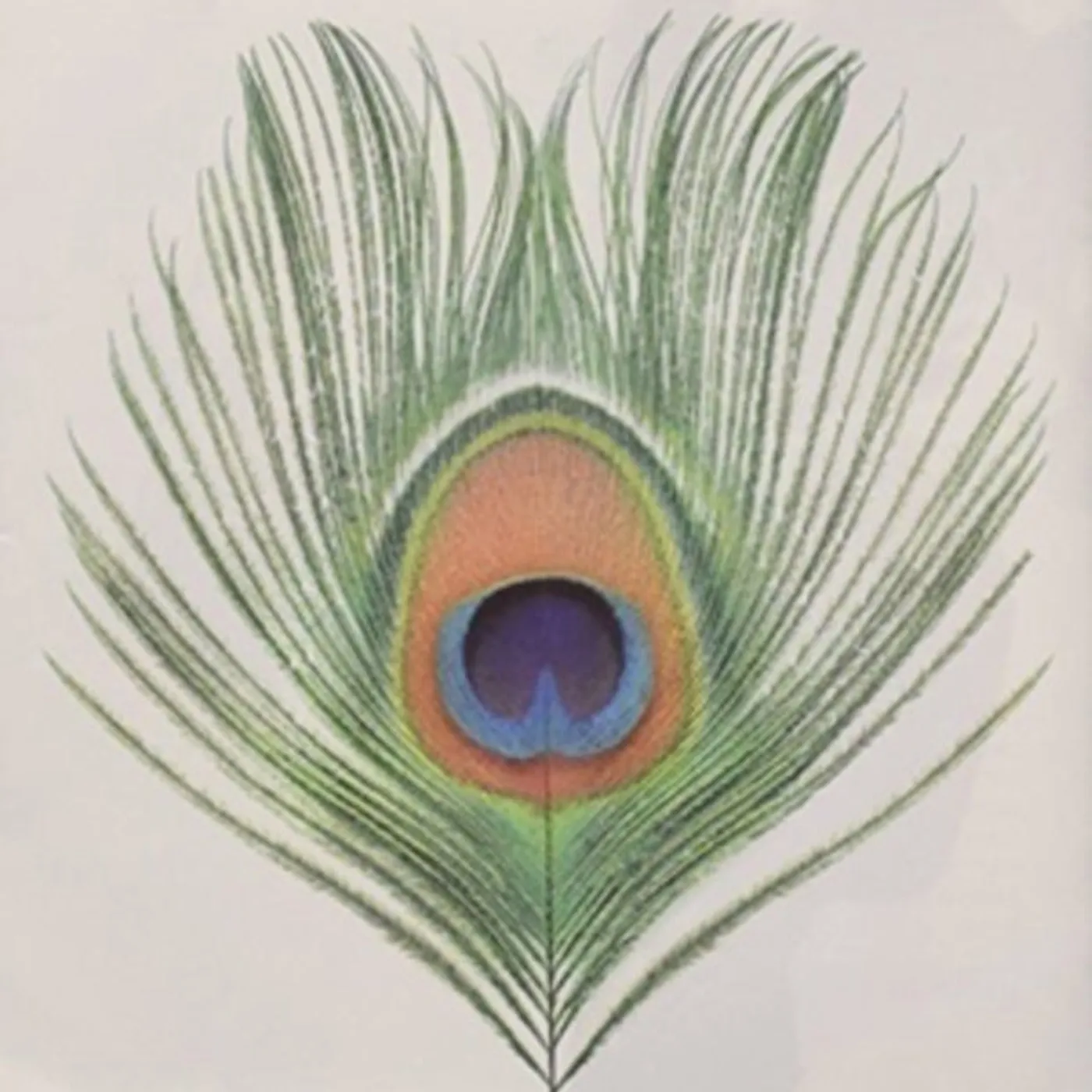 XTC LP Vinyl Record - Wasp Star (Apple Venus Vol. 1)