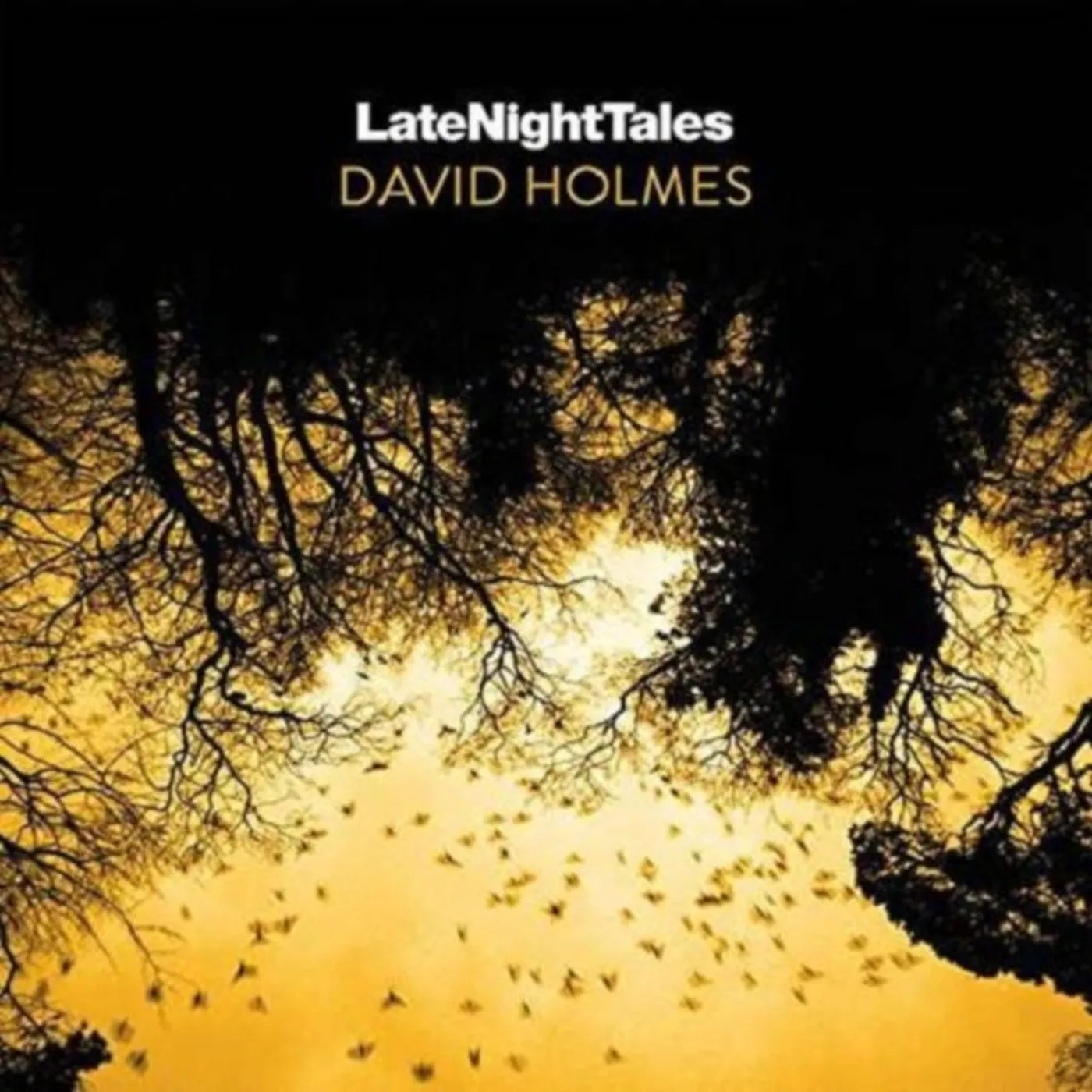 Various Artists Various Artist: s LP Vinyl Record - Late Night Tales: David Holmes