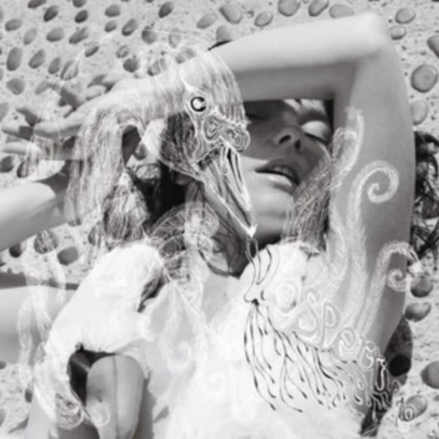 Björk LP Vinyl Record - Vespertine