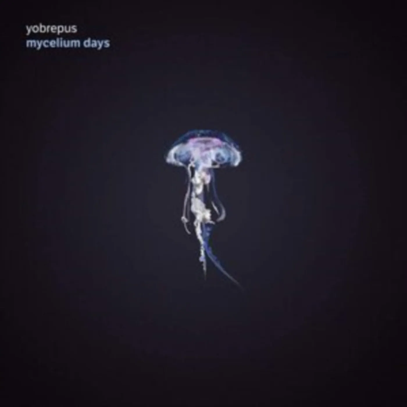 Yobrepus CD - Mycelium Days