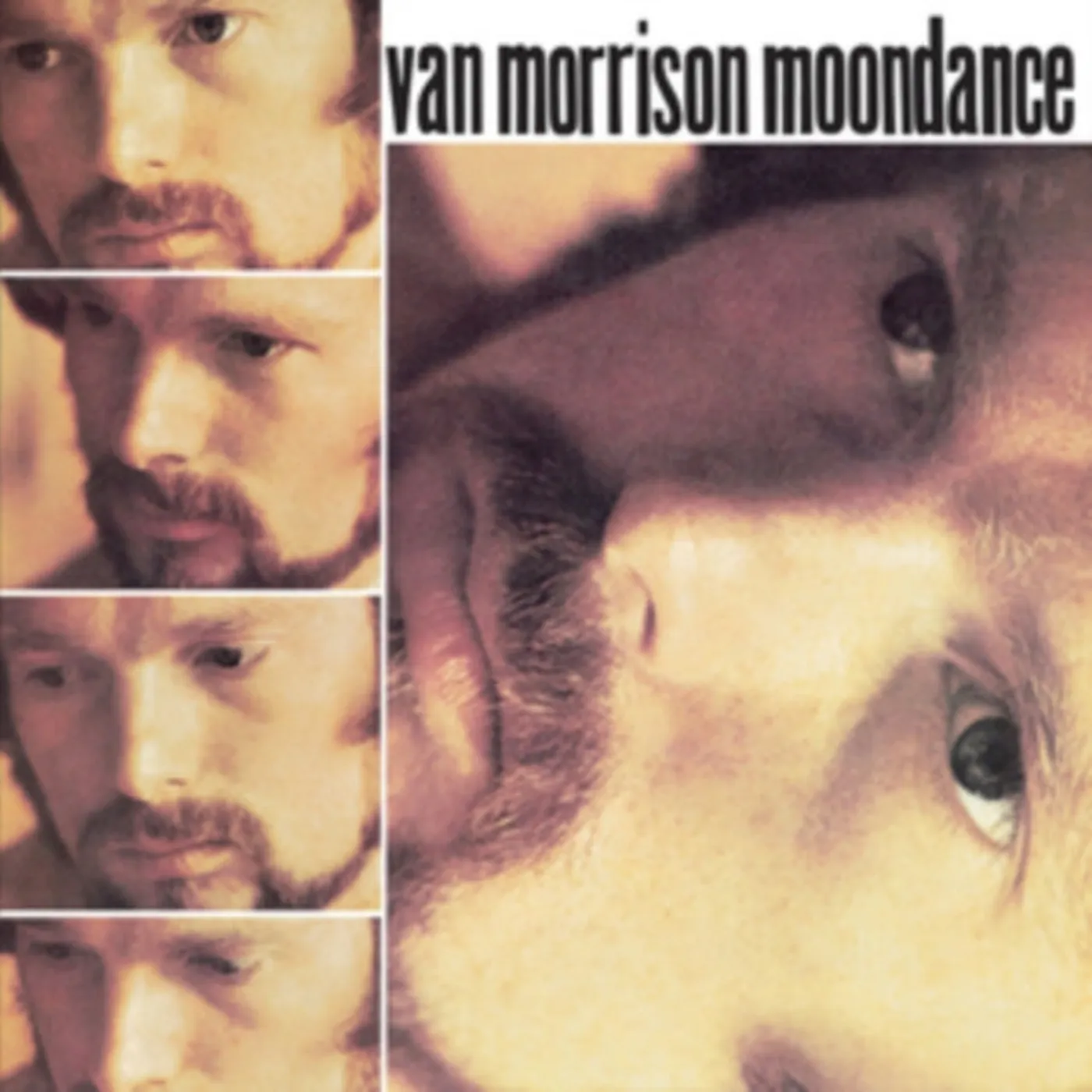 Van Morrison CD - Moondance