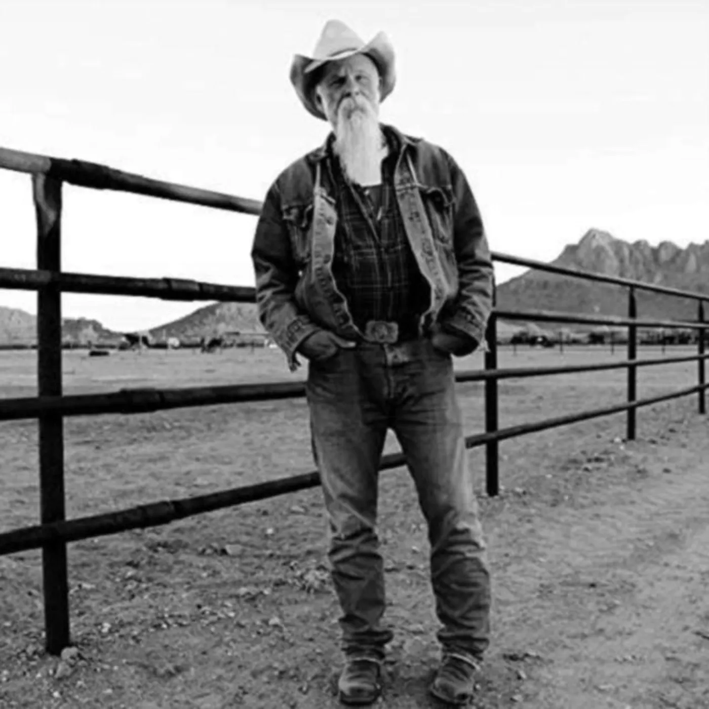 Seasick Steve CD - Keepin' The Horse Between Me And The Ground