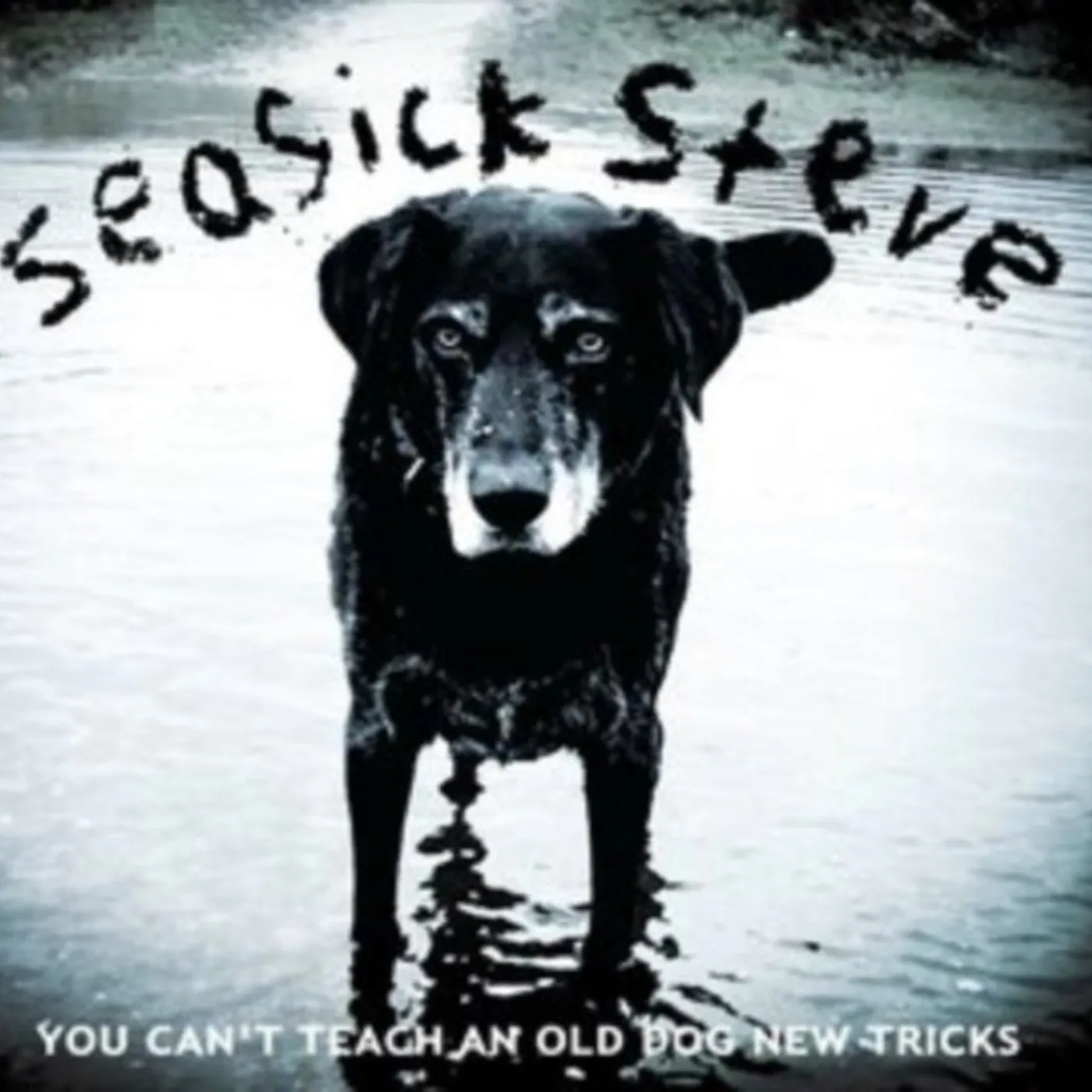 Seasick Steve CD - You Can't Teach An Old Dog New Tricks