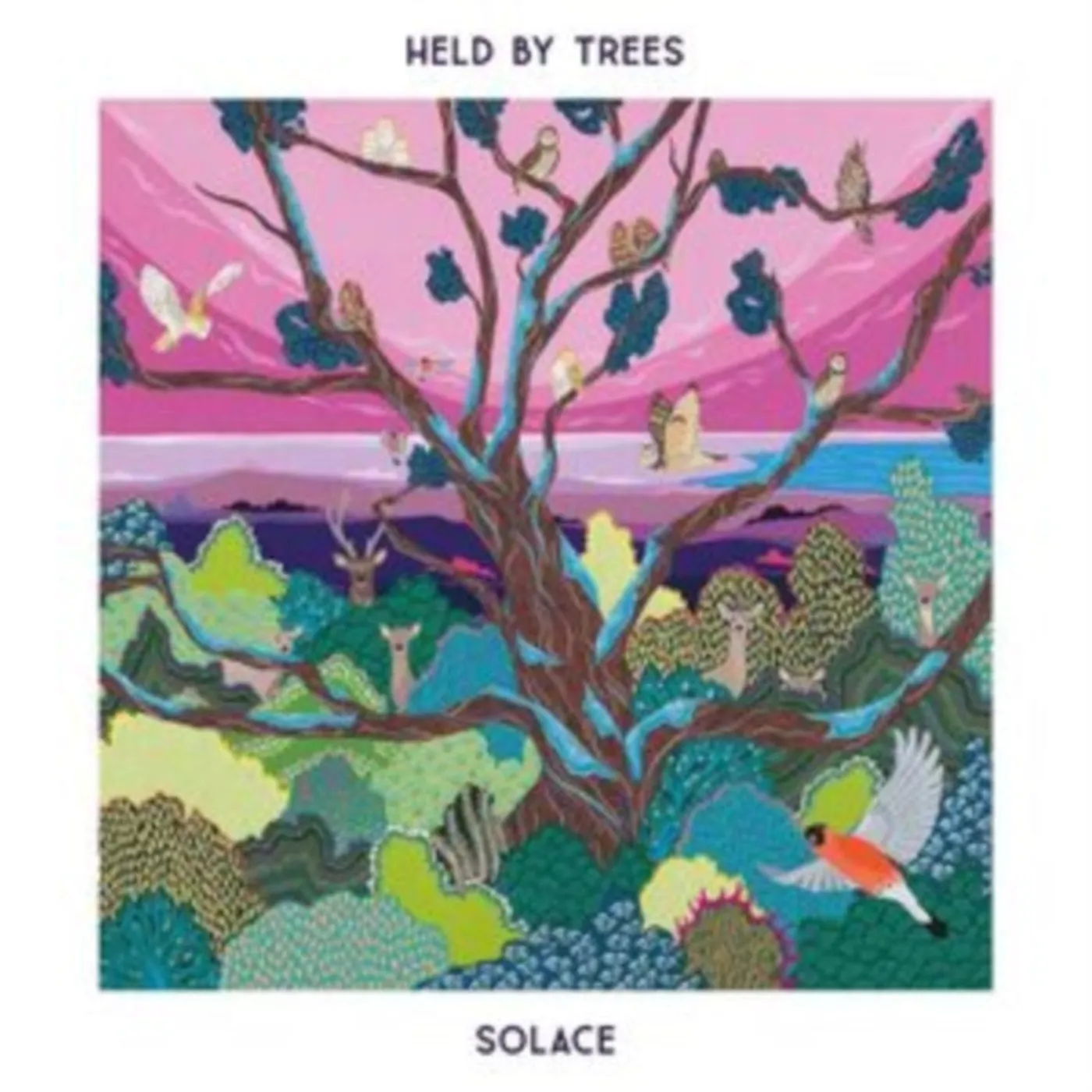Held By Trees CD - Solace