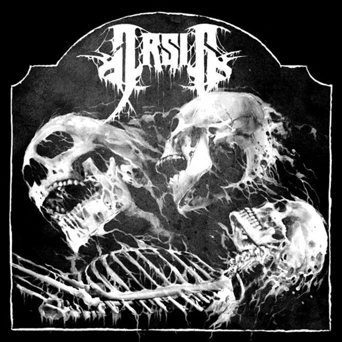 Arsis LP - Visitant (Vinyl)