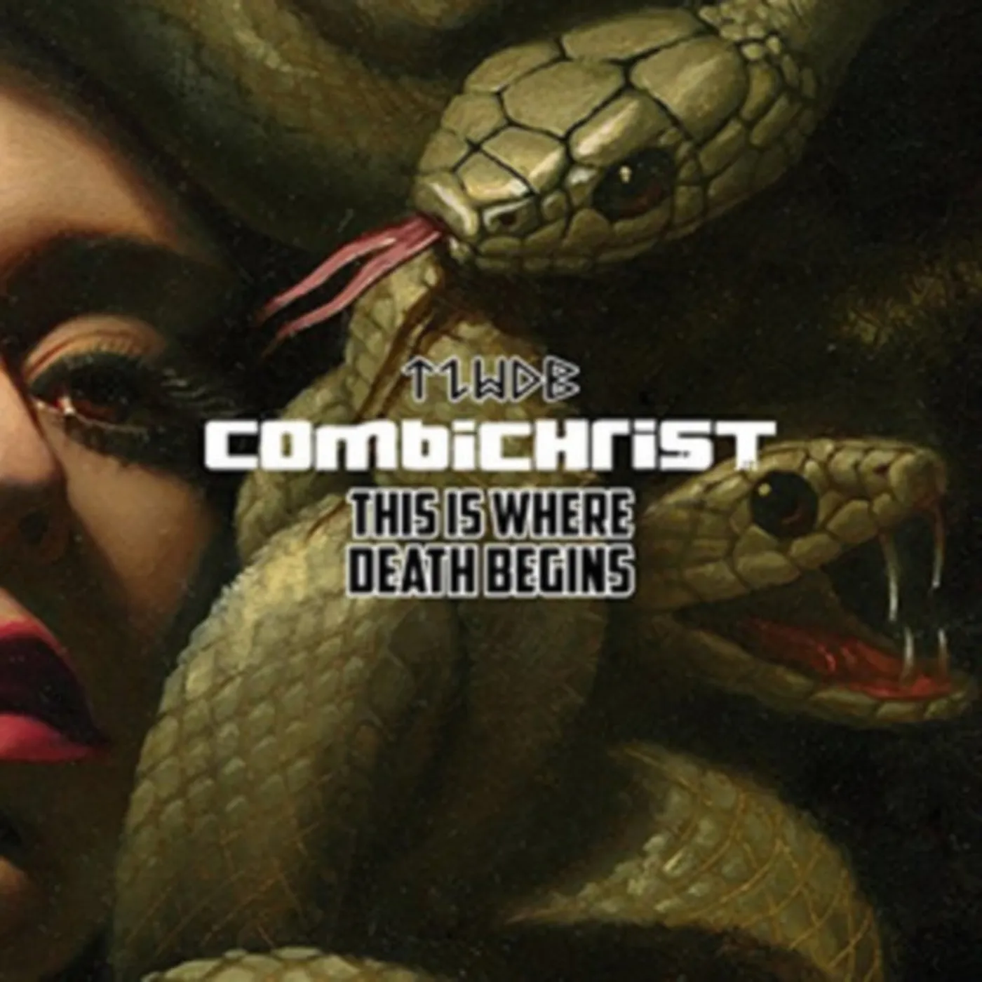 Combichrist LP - This Is Where Death Begins (Vinyl)