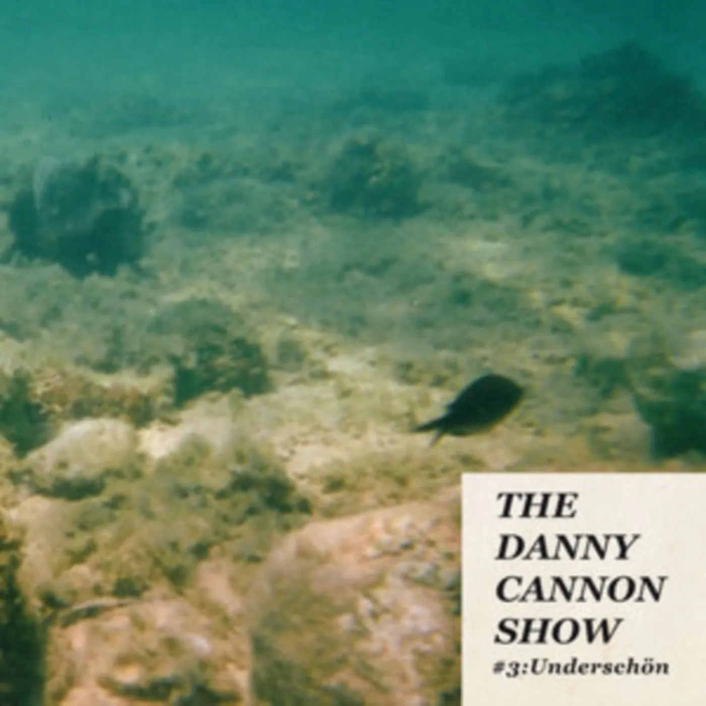 The Danny Cannon Show LP - #3: UnderschÃ¶n (Turquoise Marble Vinyl)