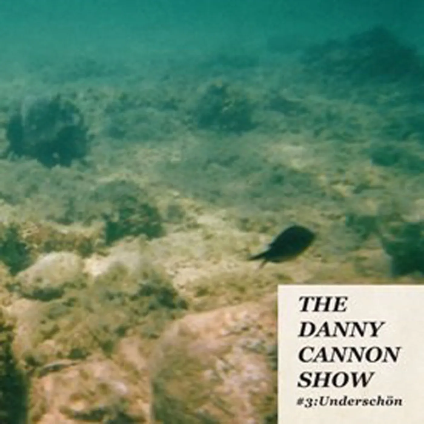 The Danny Cannon Show LP - #3: UnderschÃ¶n (Turquoise Marble Vinyl)