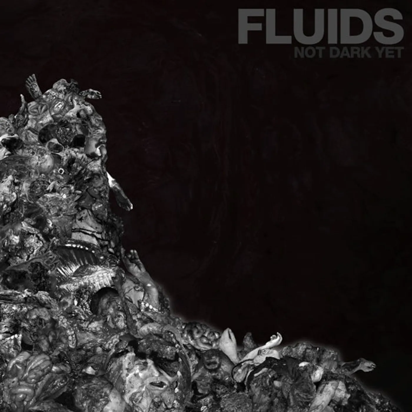 Fluids LP - Not Dark Yet (Vinyl)
