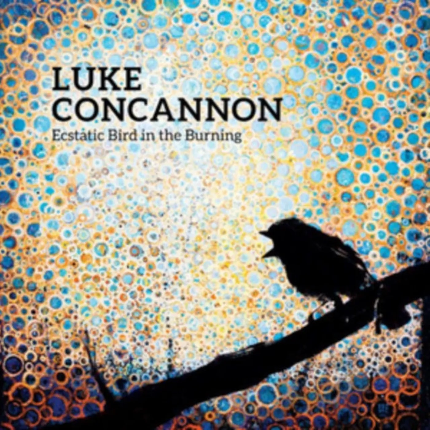 Luke Concannon LP - Ecstatic Bird In The Burning (Vinyl)