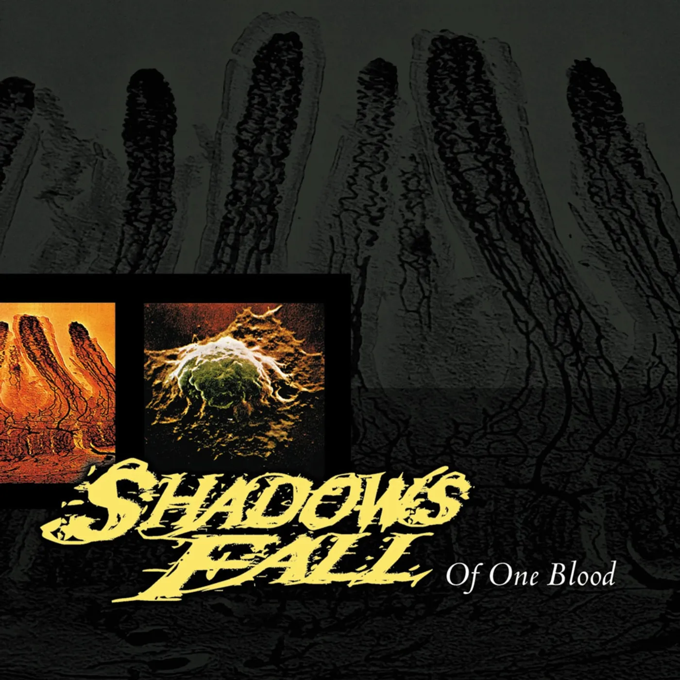 Shadows Fall LP - Of One Blood (Blood Red Vinyl)