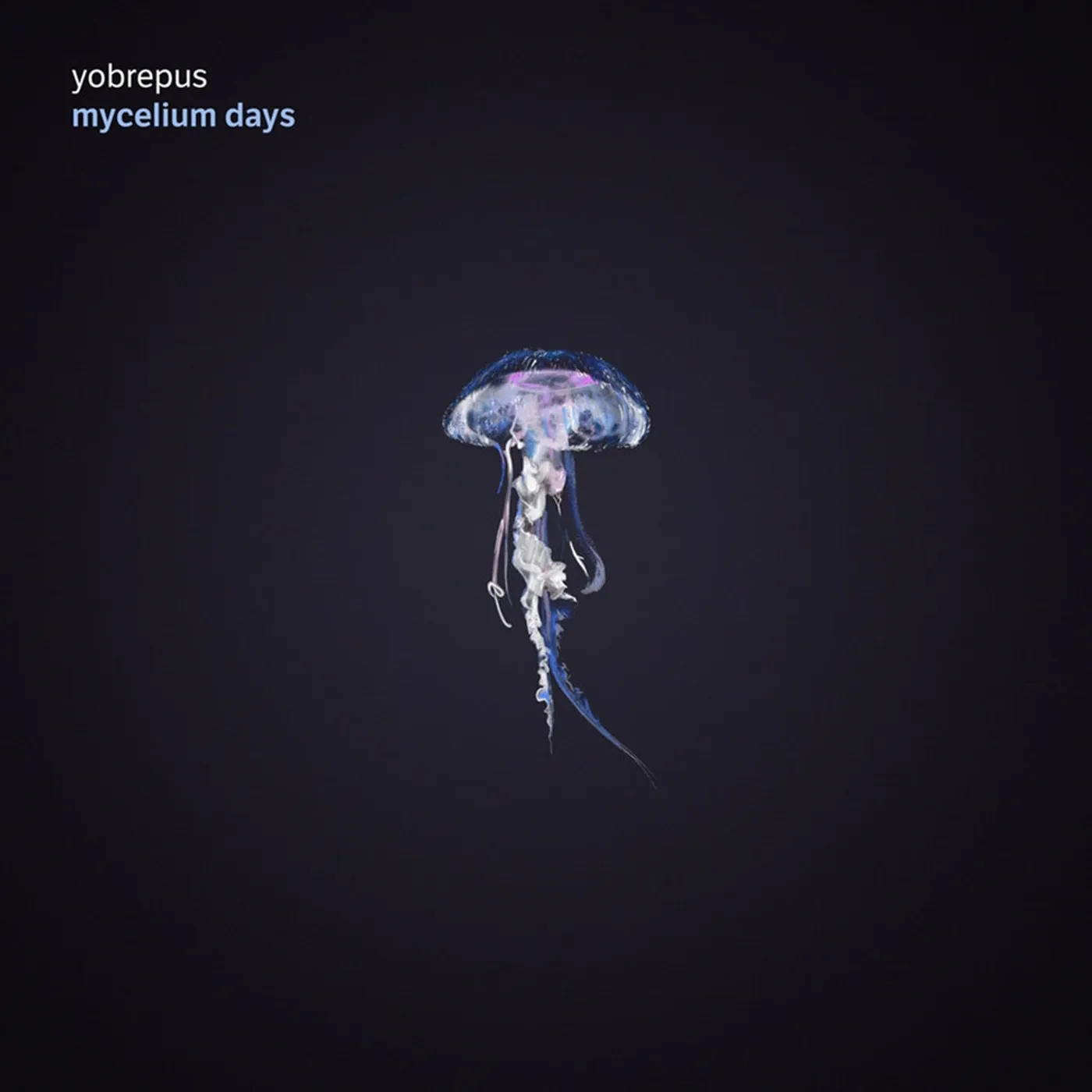 Yobrepus LP - Mycelium Days (Vinyl)