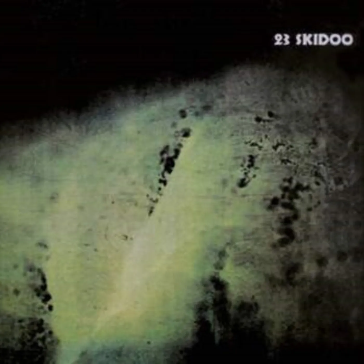 23 Skidoo CD - The Culling Is Coming
