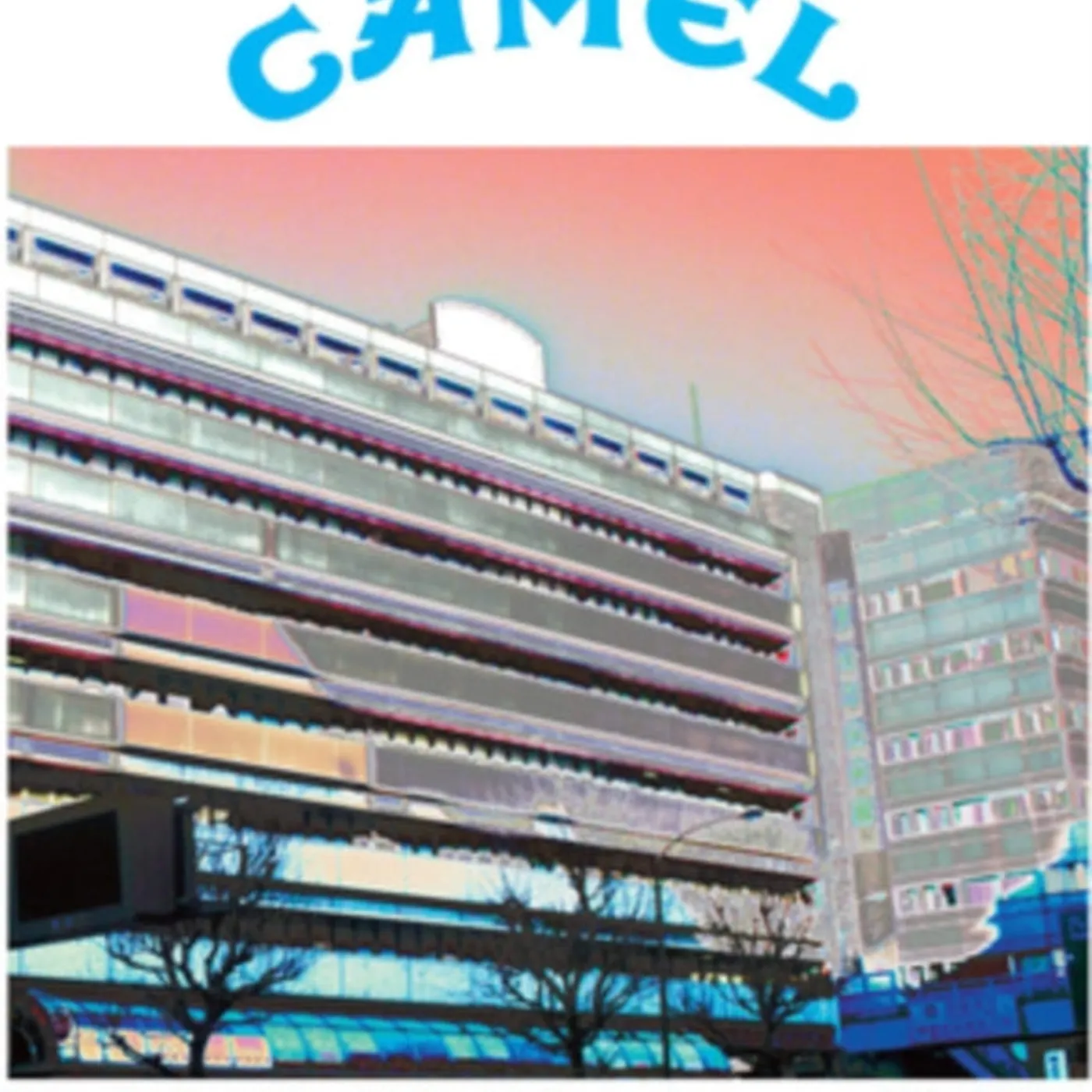 Camel CD - Kosei Nenkin Hall. Tokyo. January 27 19 80