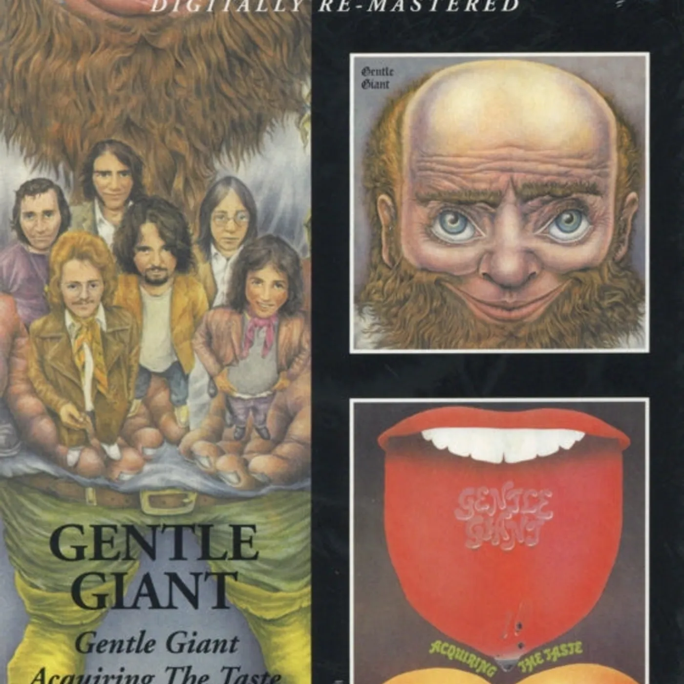 Gentle Giant CD - Gentle Giant / Acquiring The Taste
