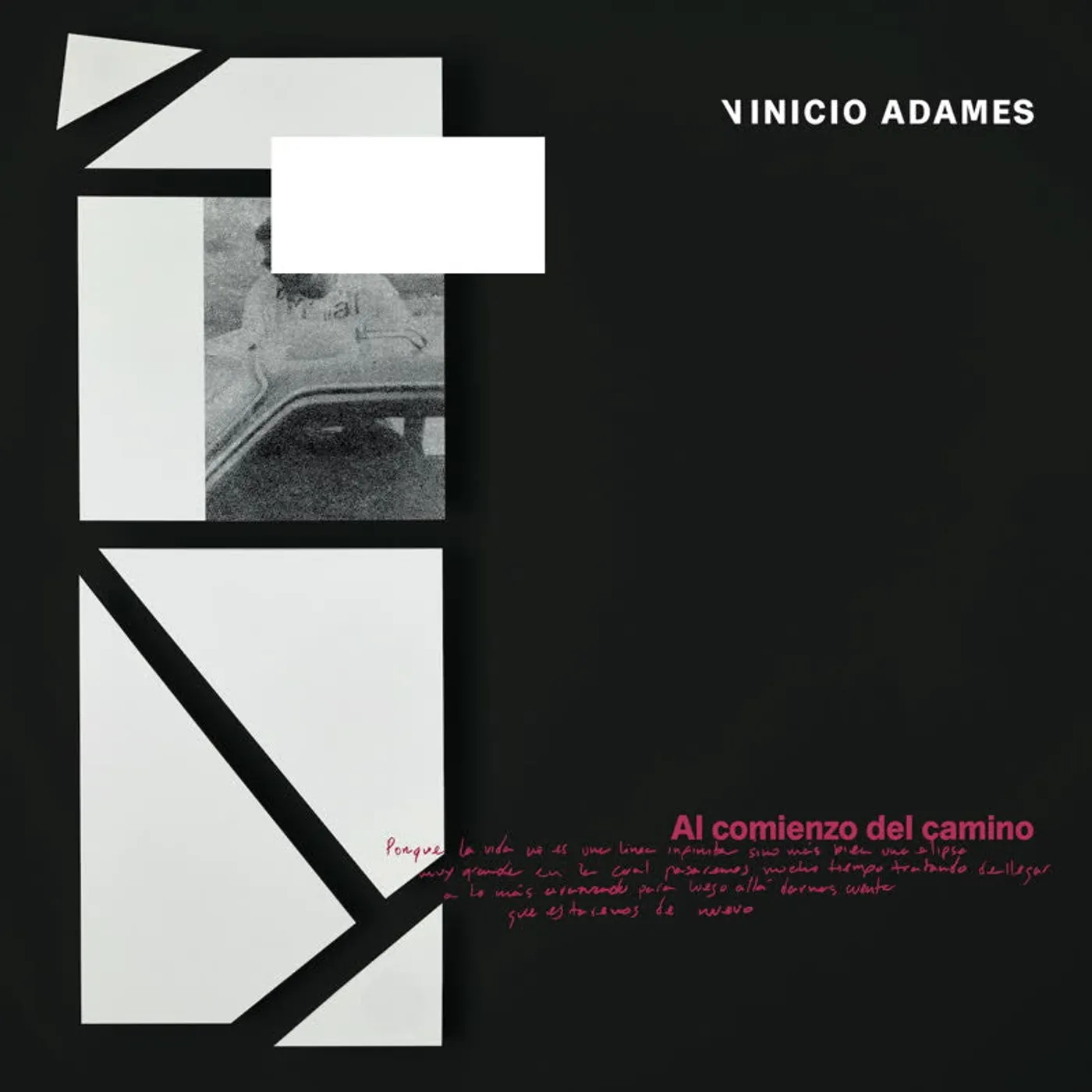 Vinicio Adames LP - El Comienzo Del Camino (Vinyl)