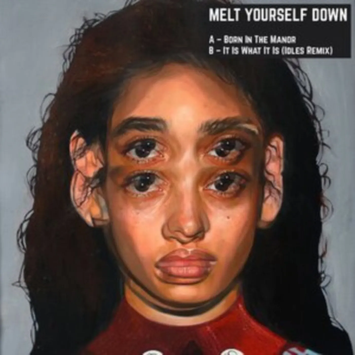 Melt Yourself Down LP Vinyl Record - Born In The Manor (Rsd20. 20. )