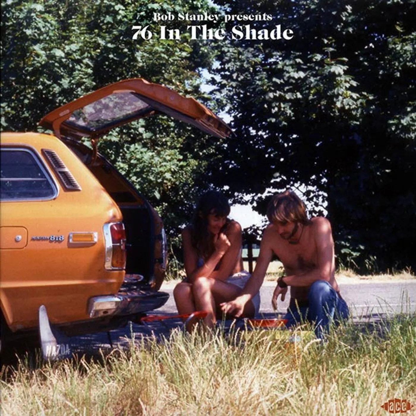 Jefferson Starship, 10CC, Steve Miller Band, David Ruffin, Etc.  LP -  Bob Stanley Presents 76 In The Shade (2xLP) (Vinyl)