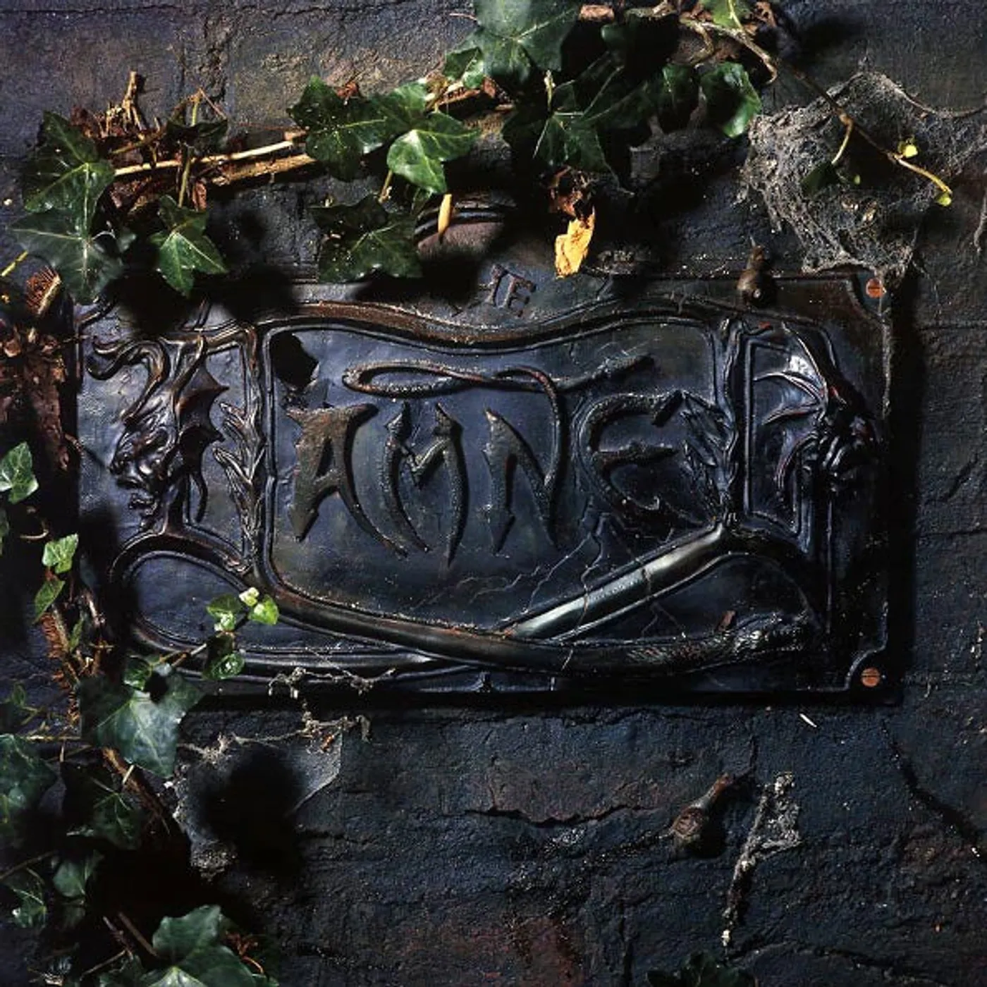 The Damned  LP Vinyl Record -  The Black Album