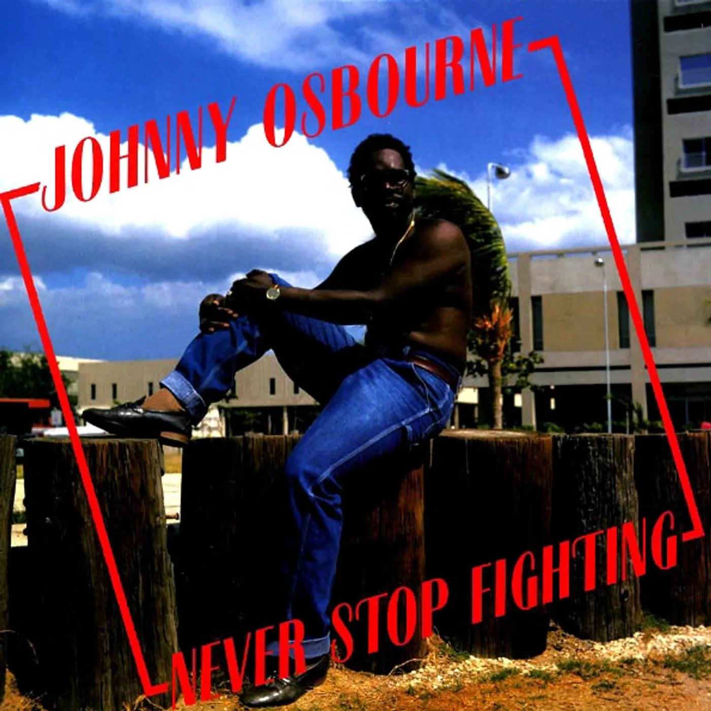 Johnny Osbourne  LP -  Never Stop Fighting (Vinyl)