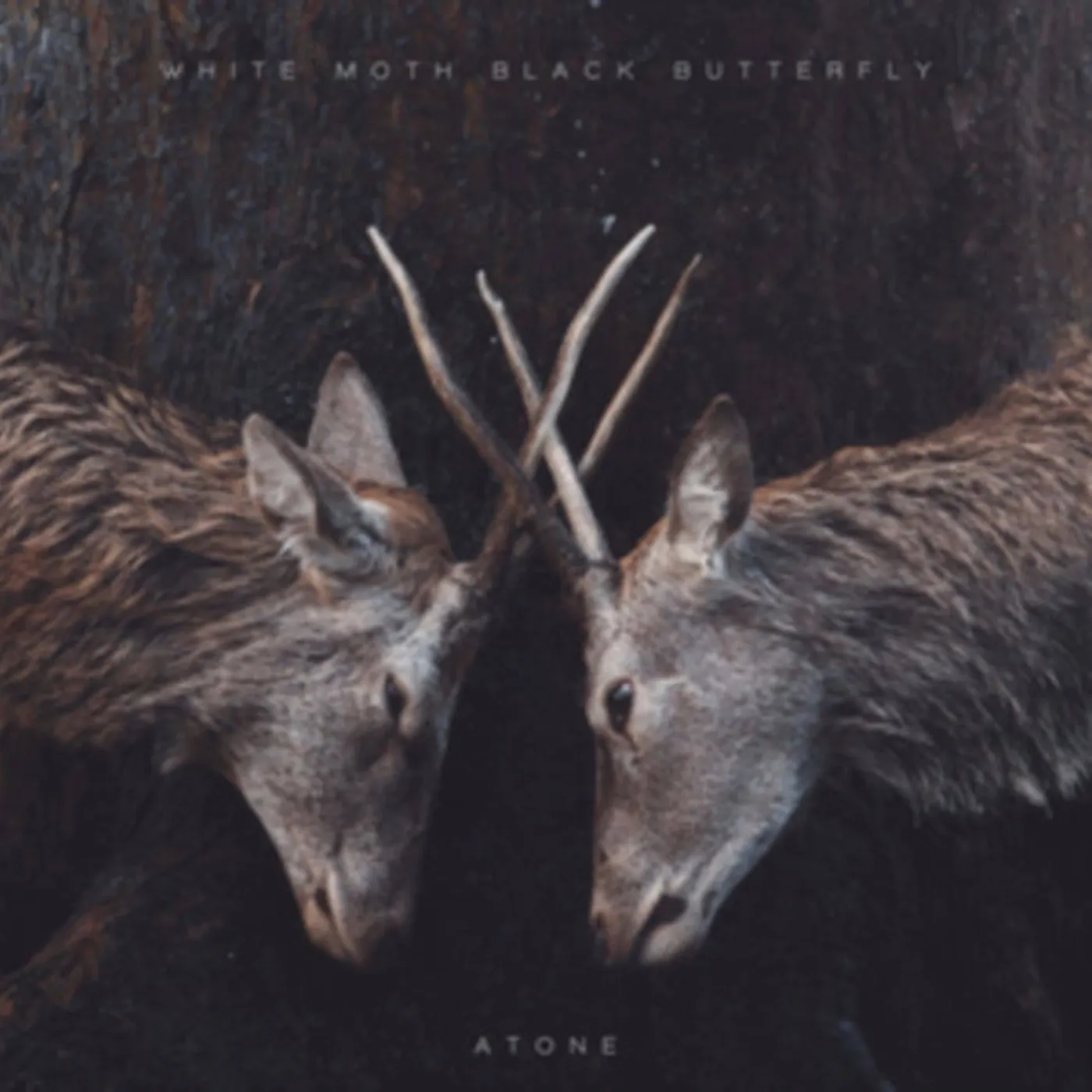 White Moth Black Butterfly CD - Atone (Expanded Edition)
