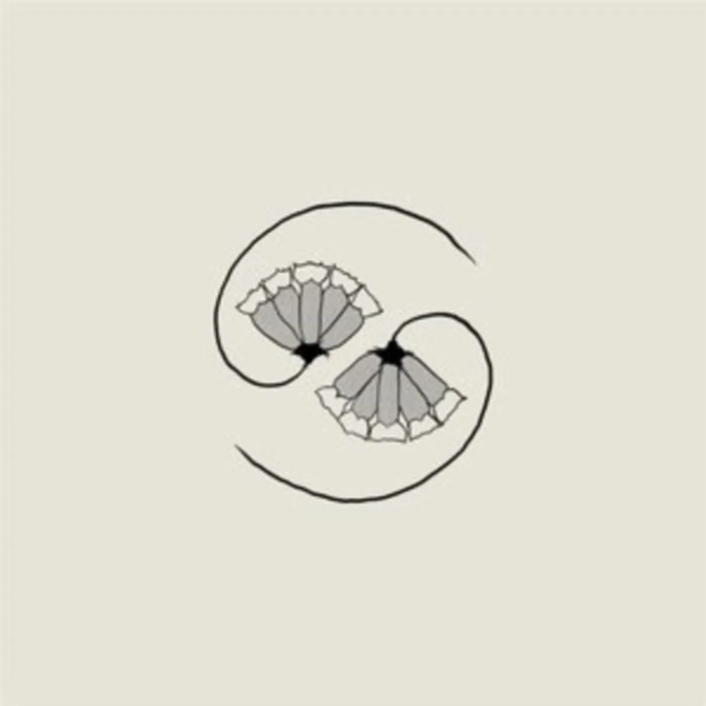 Godspeed You! Black Emperor LP Vinyl Record  GD'S Pee At State's End!