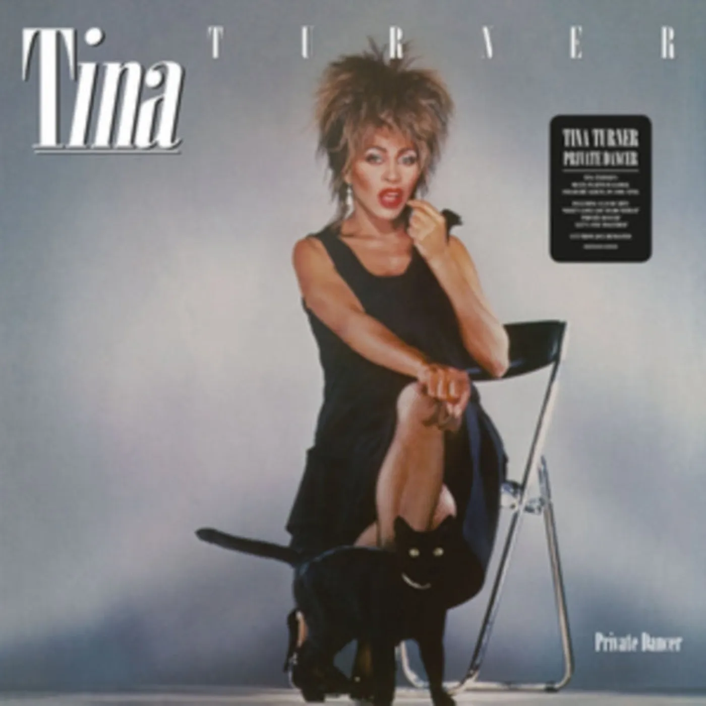 Tina Turner LP Vinyl Record - Private Dancer