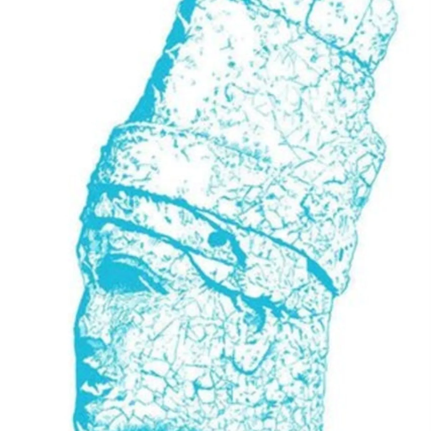 Big Turks CD - Big Turks Redux