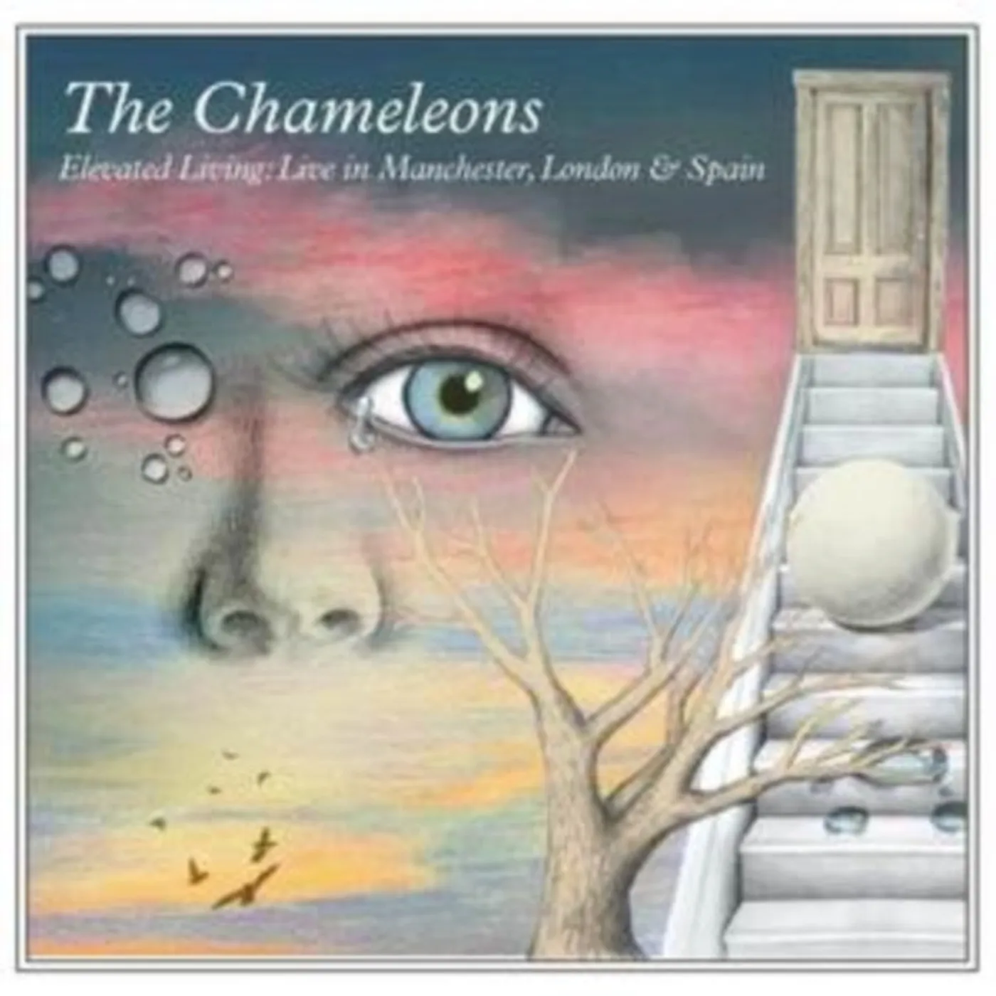 The Chameleons CD - Elevated Living