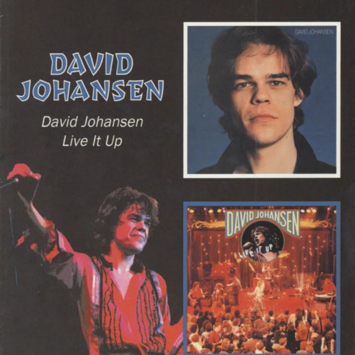 David Johansen CD - David Johansen / Live It Up