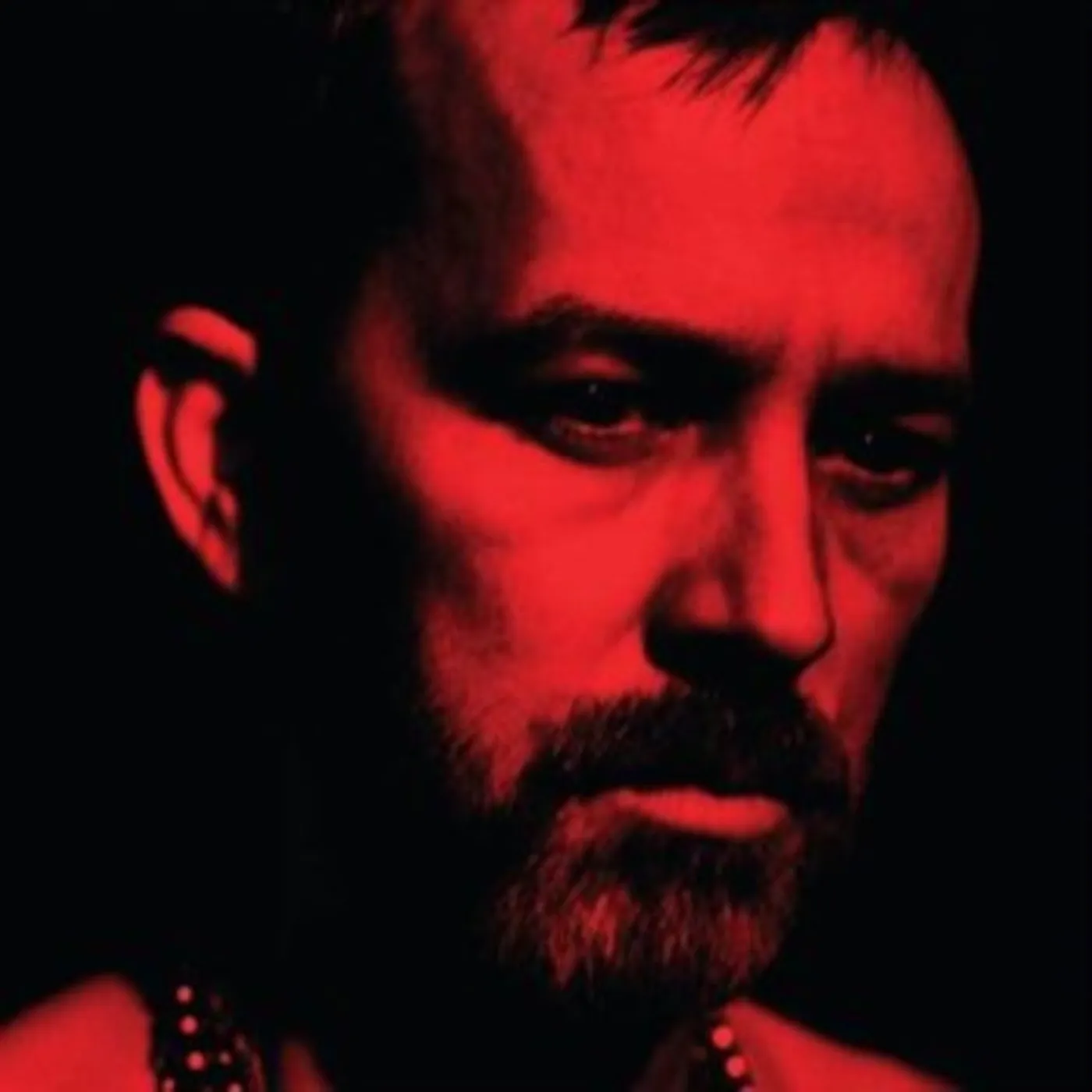 Duquette Johnston CD - The Social Animals