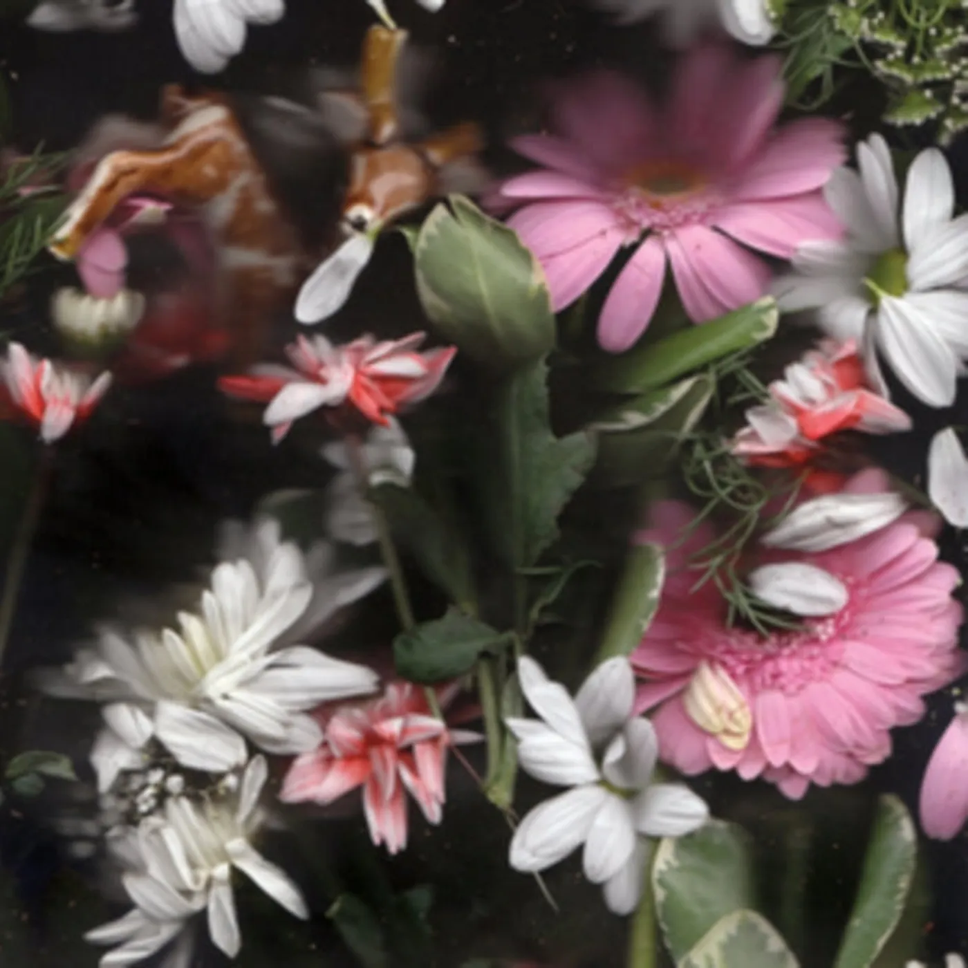 Goodtime Boys CD - Rain