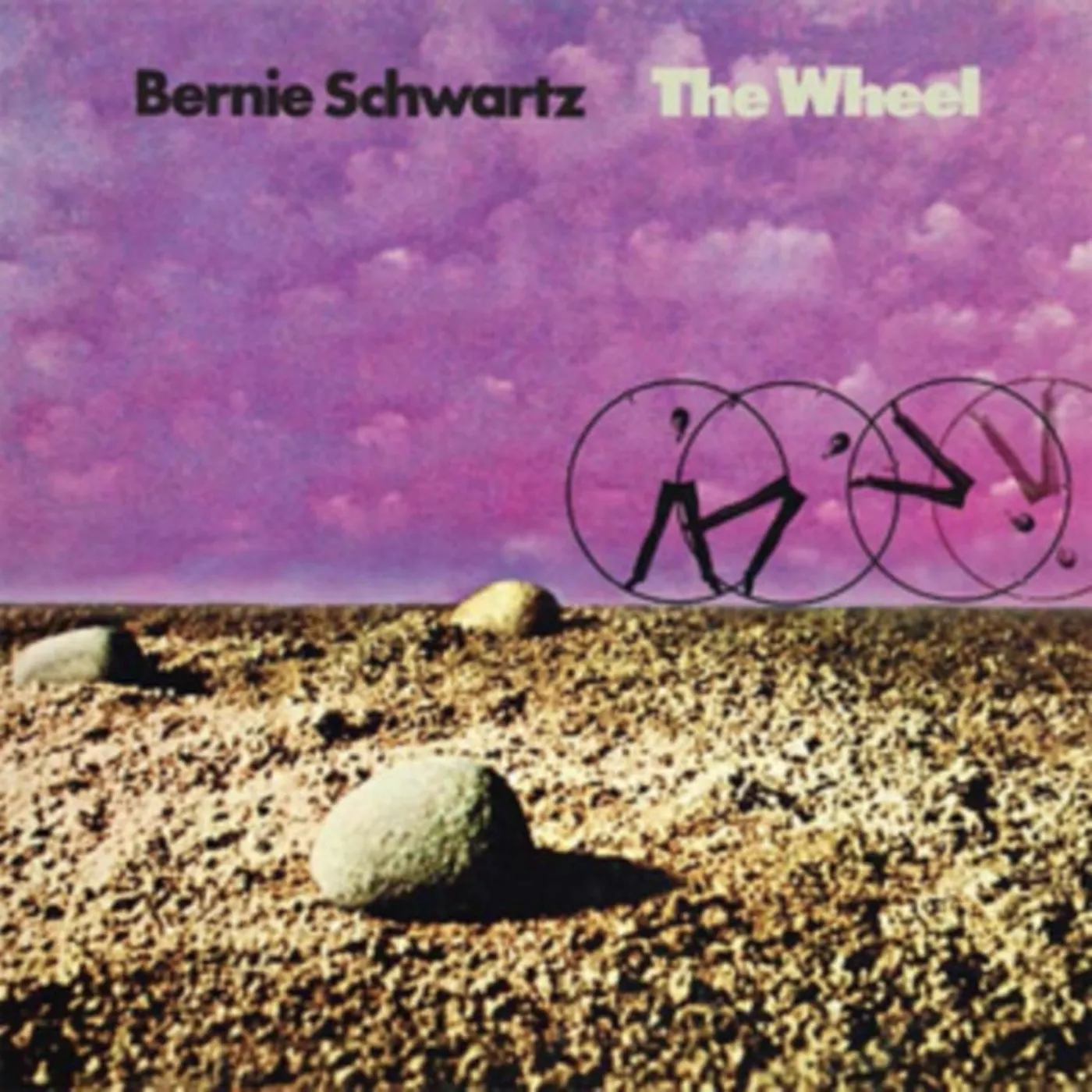 Bernie Schwartz CD - The Wheel