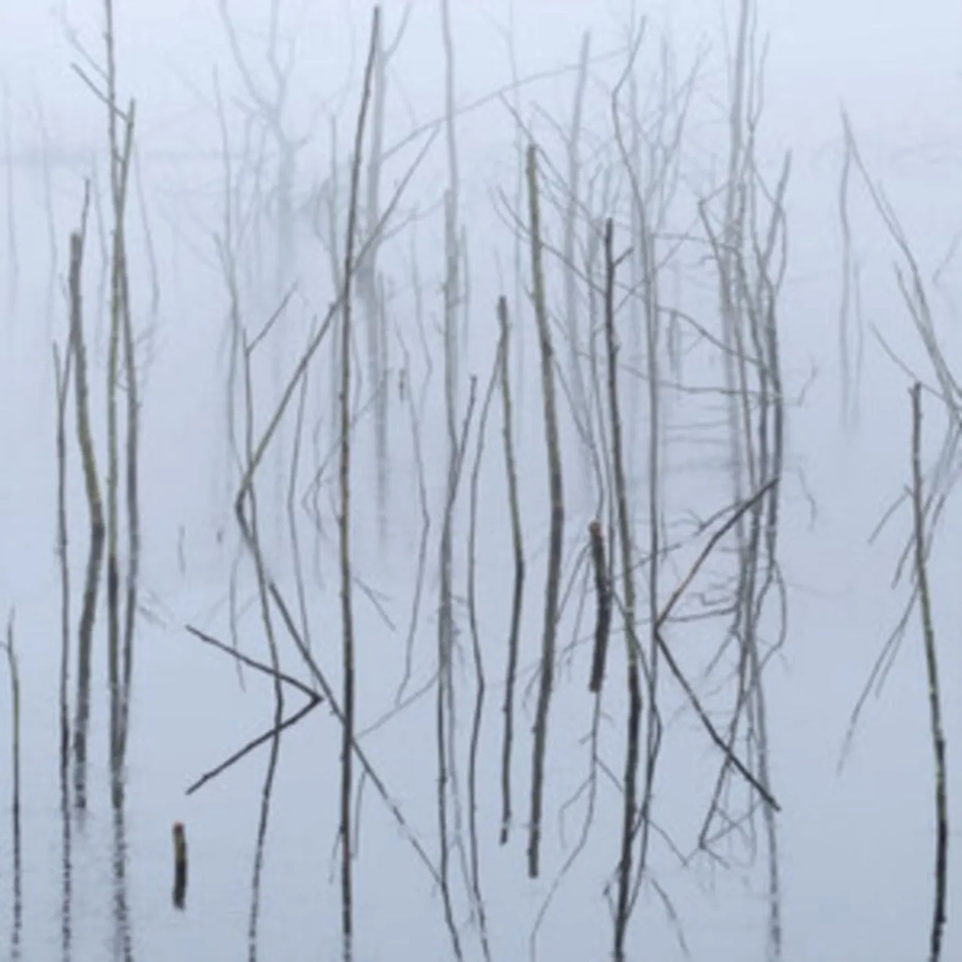 Olhava CD - Frozen Bloom