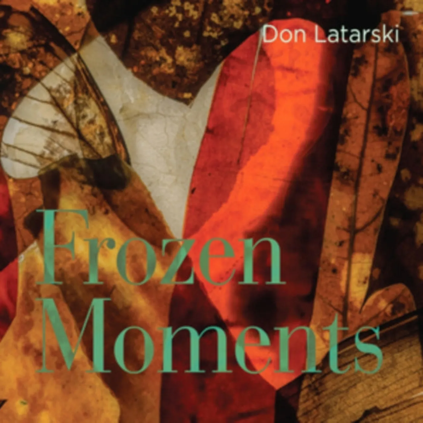 Don Latarski CD - Frozen Moments