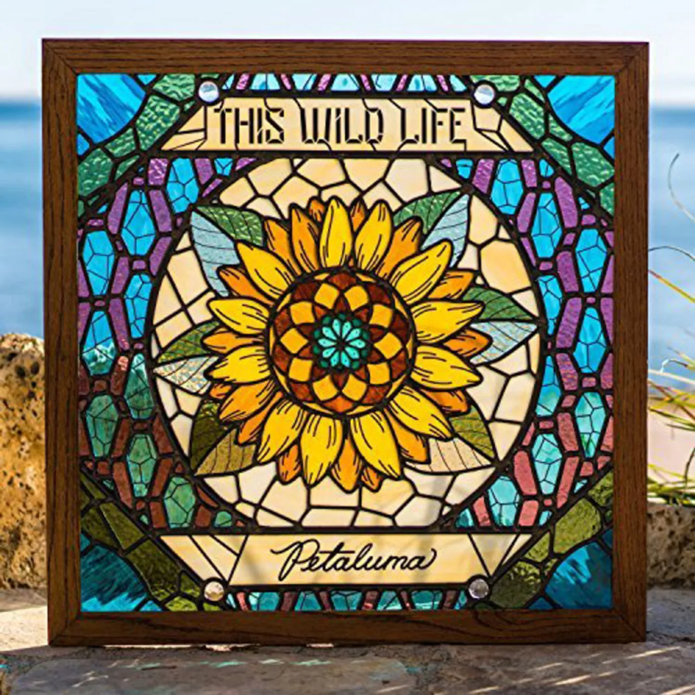 This Wild Life LP - Petaluma (Vinyl)