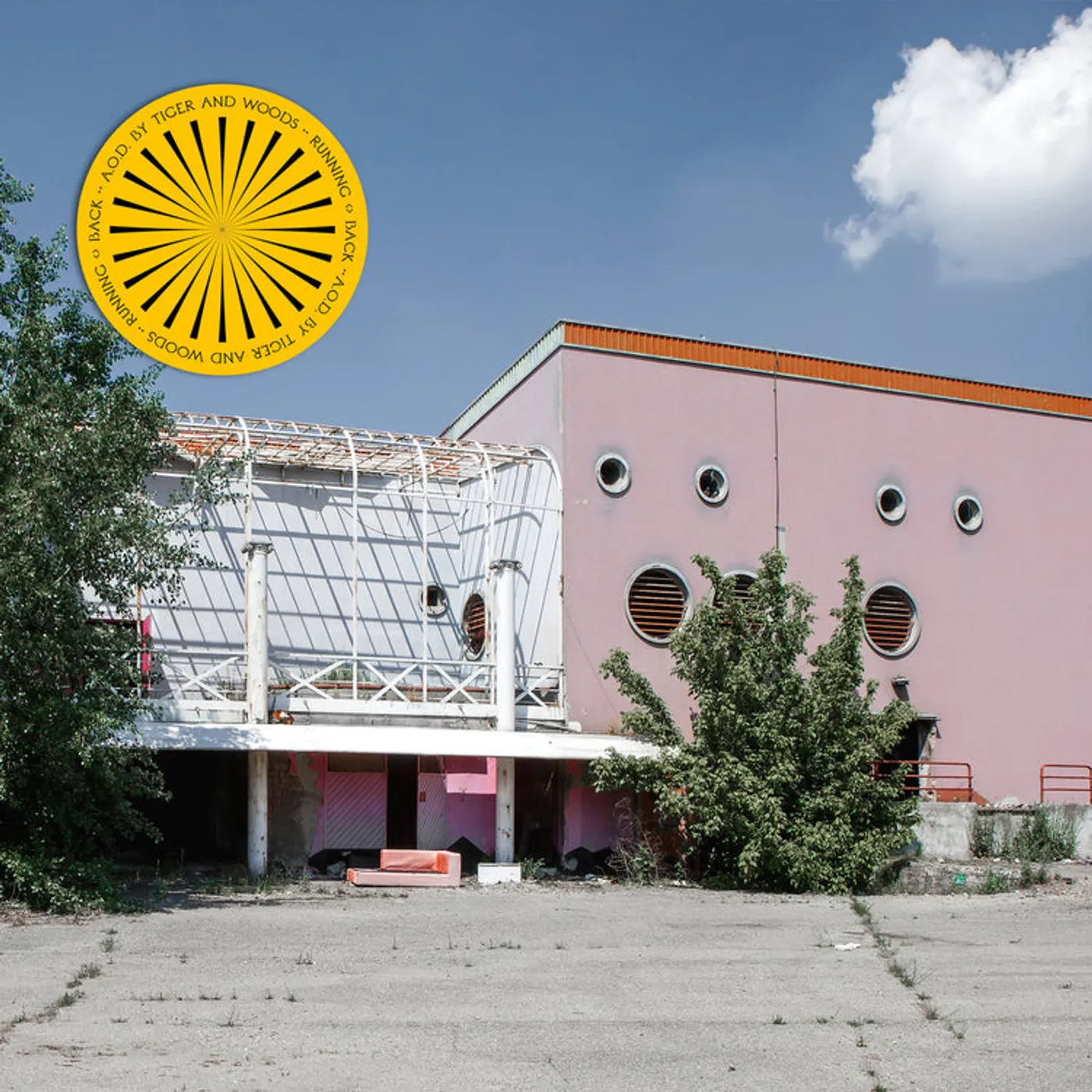 Tiger & Woods LP - AOD (Vinyl)