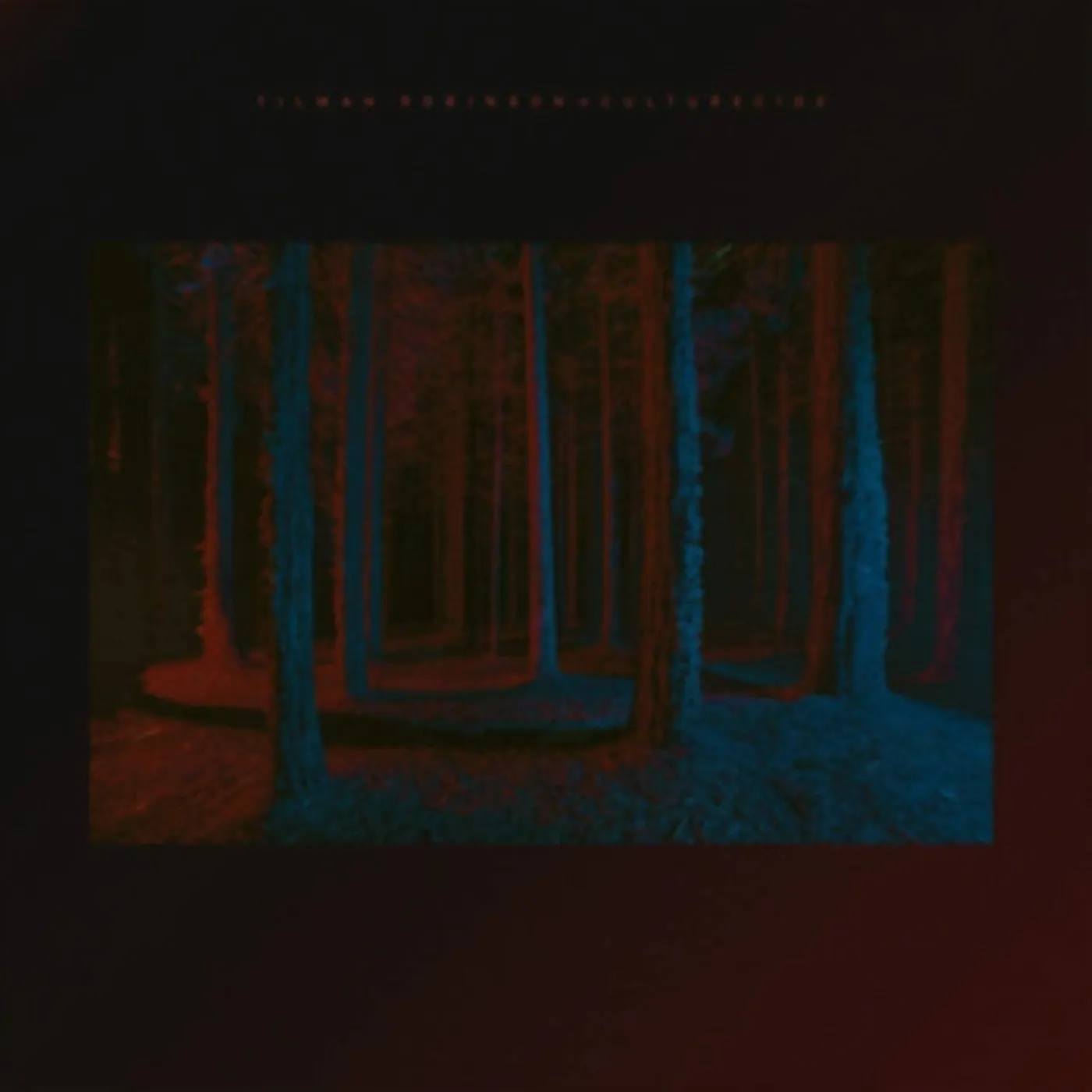 Tilman Robinson LP - Culturecide (Vinyl)