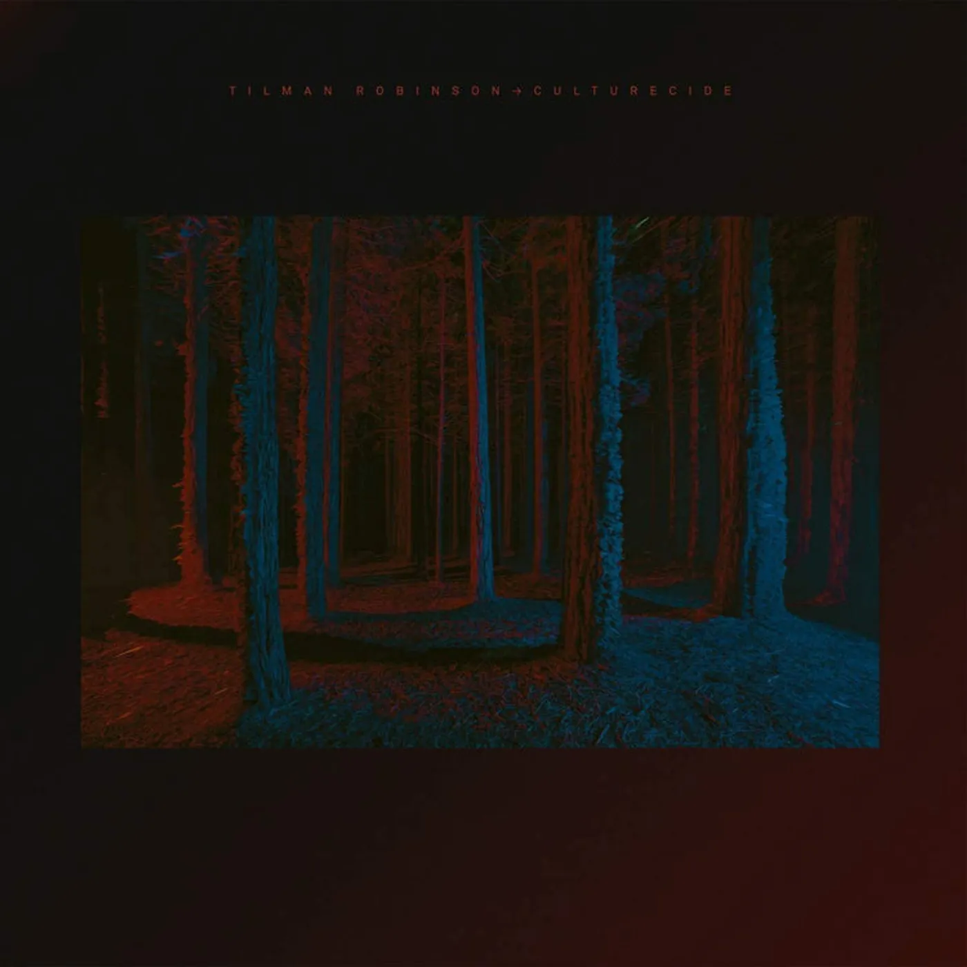 Tilman Robinson LP - Culturecide (Vinyl)